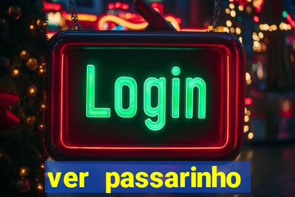 ver passarinho morto significado